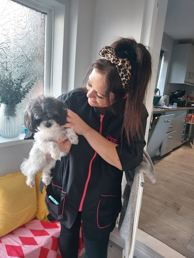 A groomer in a branded black tunic holding up a freshly groomed black-and-white shih tzu cross in the salon doorway